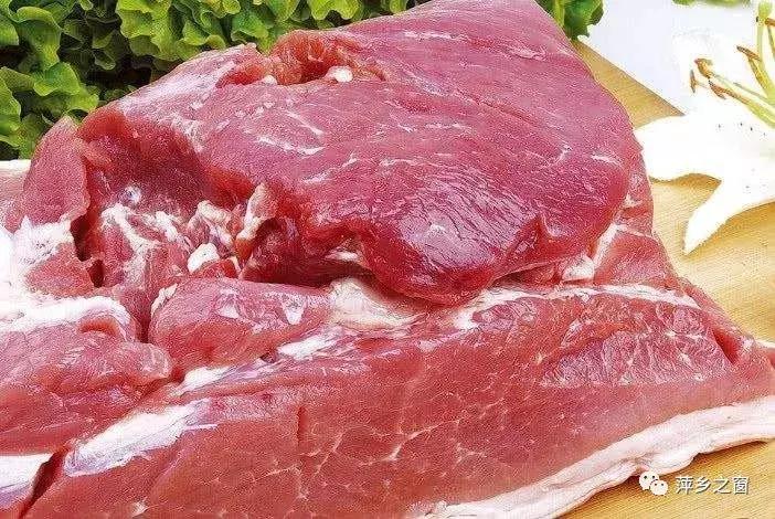 芹菜最新行情与心灵之旅,探寻平和与宁静的自然美景