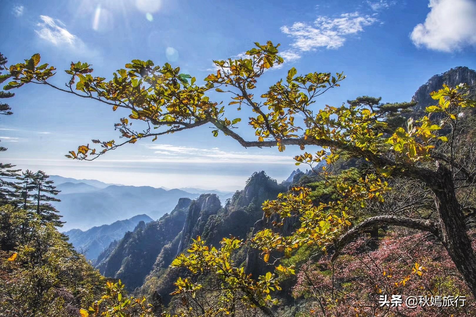杂志天下最新，背景、重大事件与媒体地位的追溯与探讨