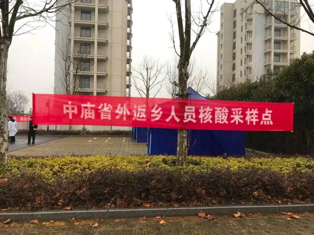 安徽最新隔离政策详解，理解与适应之道
