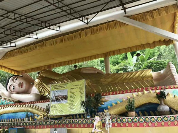 南伞最新指南,任务完成与技能学习详细步骤手册