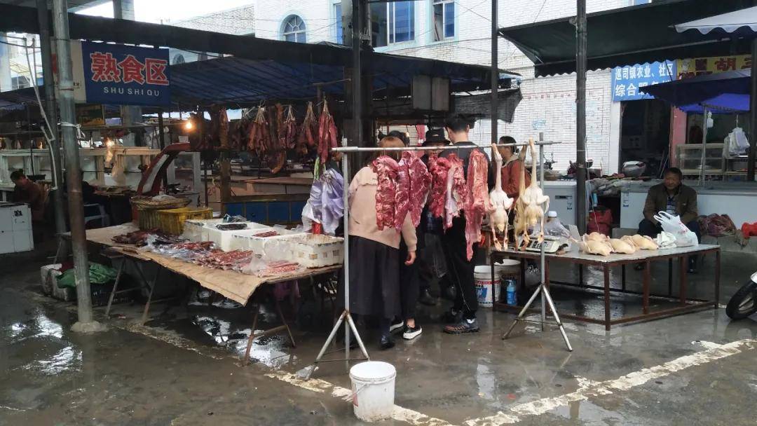 苍溪最新肉价概览，最新肉价信息一览无余