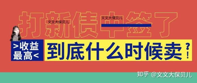 打新债最新论述，深度解析与探讨新债投资机会