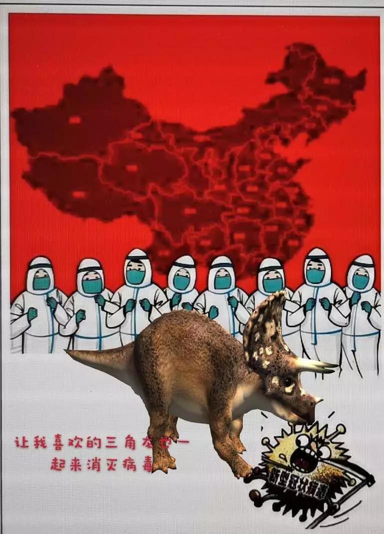 疫情最新模型解析与观点阐述，深度探讨疫情发展态势及应对策略