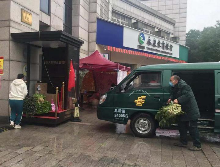 永康最新疫情下的自然美景探索之旅