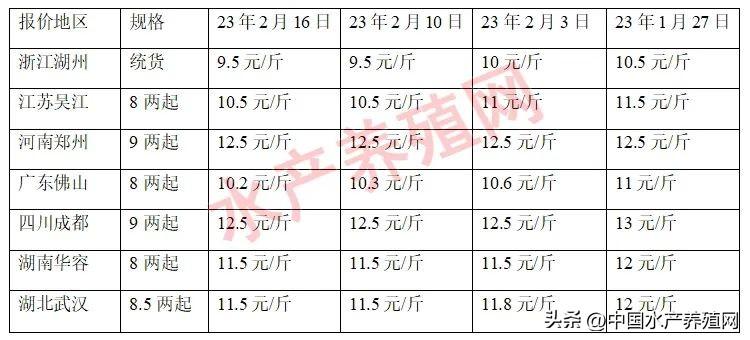 最新捉鱼之旅，探索自然美景的愉快旅程