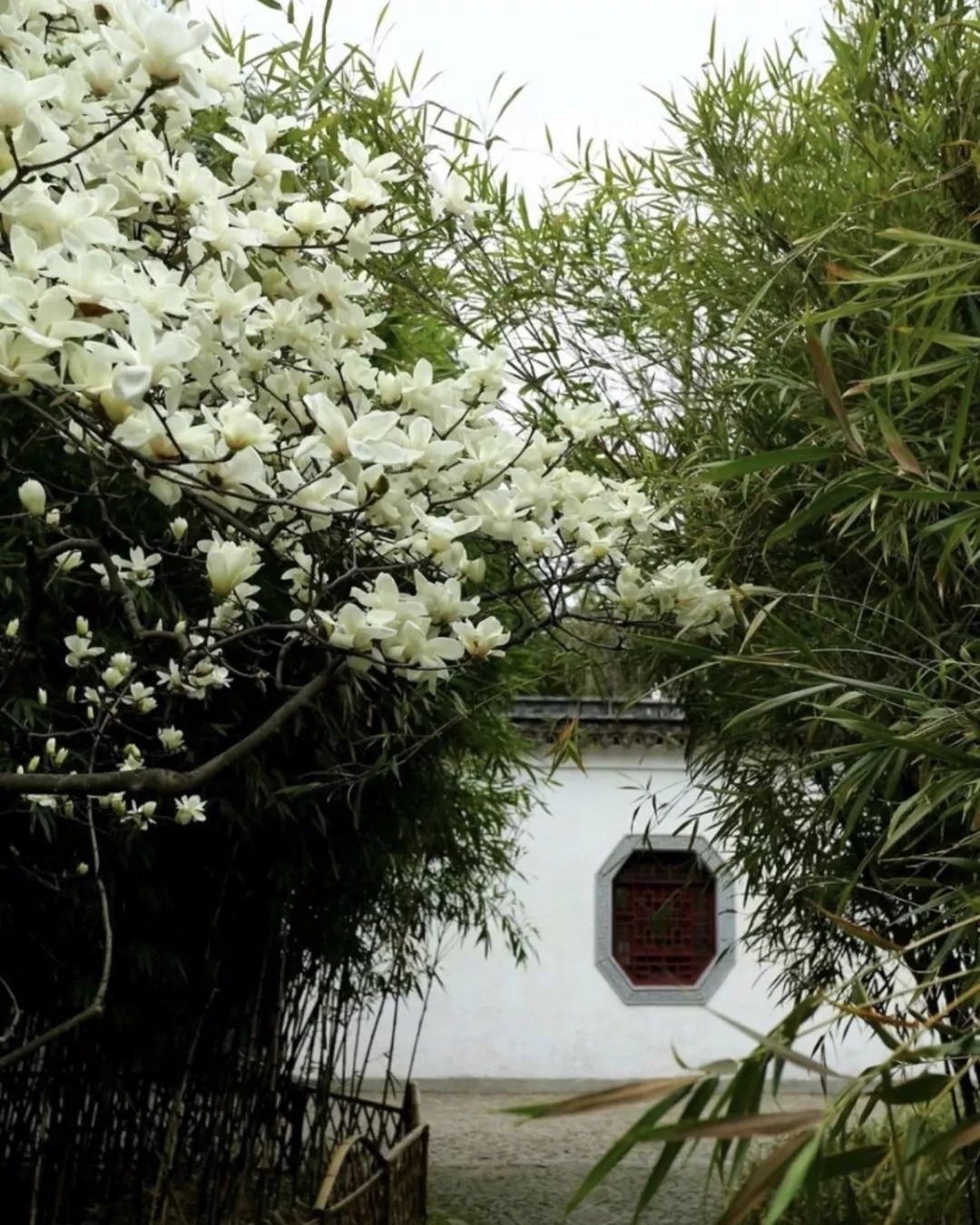 最新捉鱼之旅,探索自然美景的愉快旅程