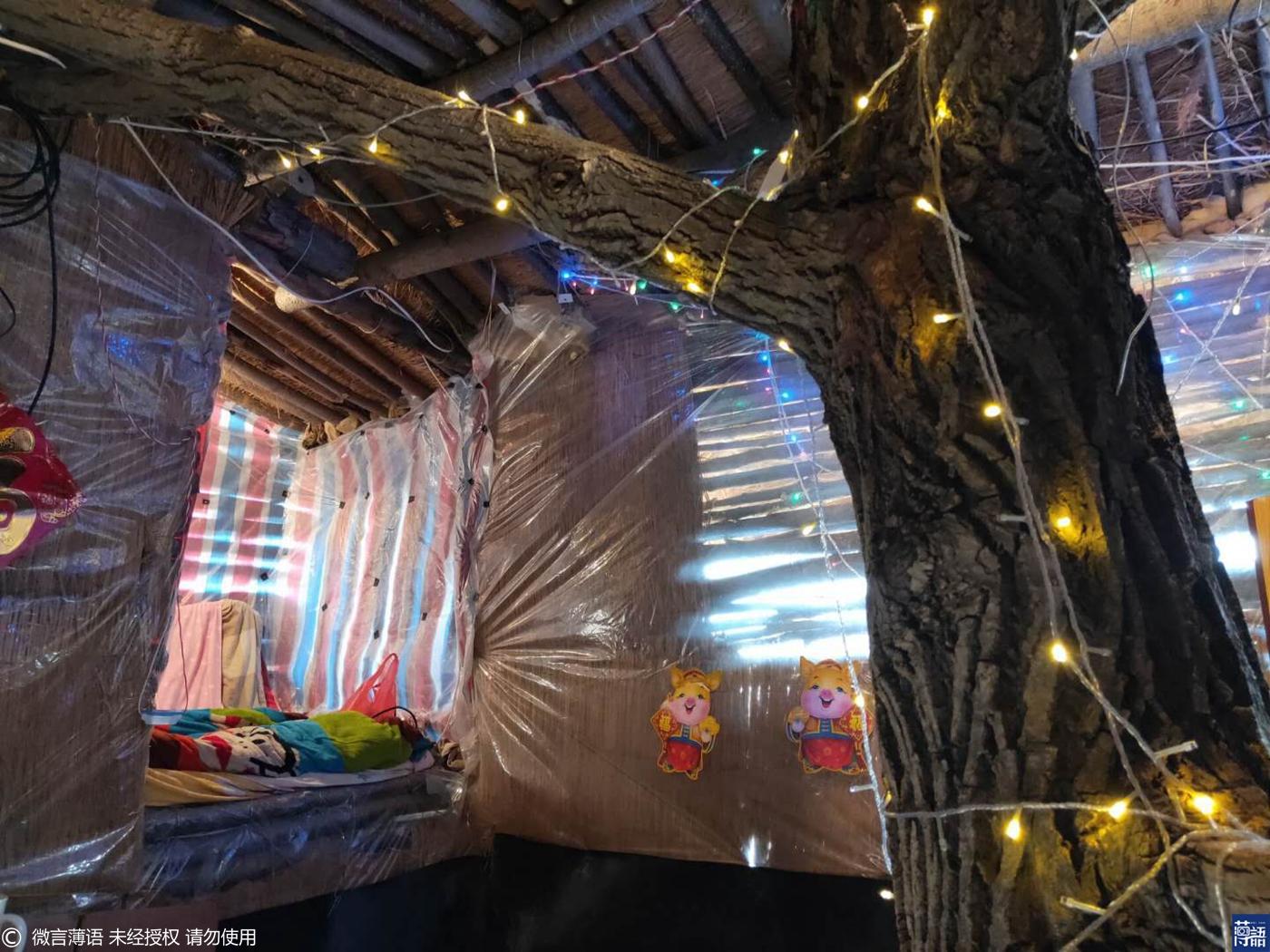 最新捉鱼之旅,探索自然美景的愉快旅程