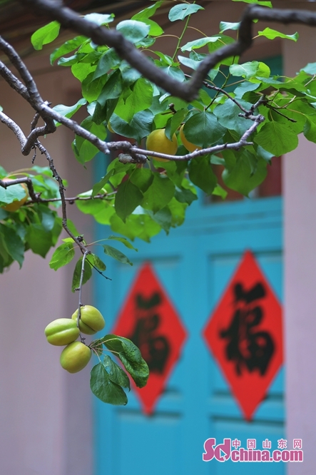 红杏社区最新日常趣事概览
