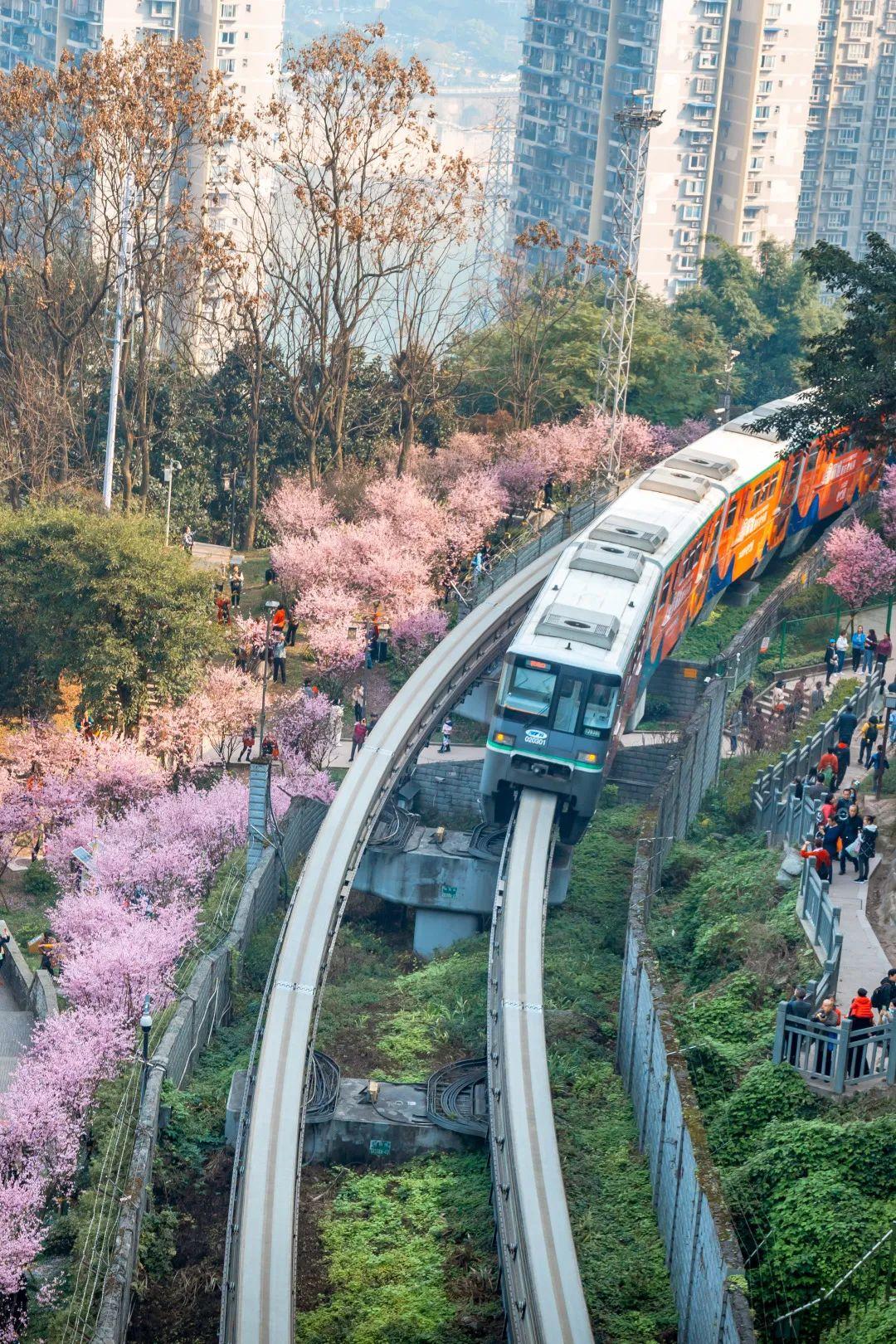 重庆最新打卡胜地，探寻自然美景，寻觅内心宁静乐园