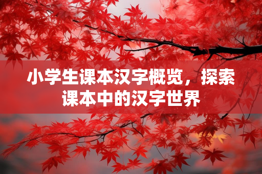 最新拼搏事例详解，完成任务的步骤指南与学习新技能的实用技巧