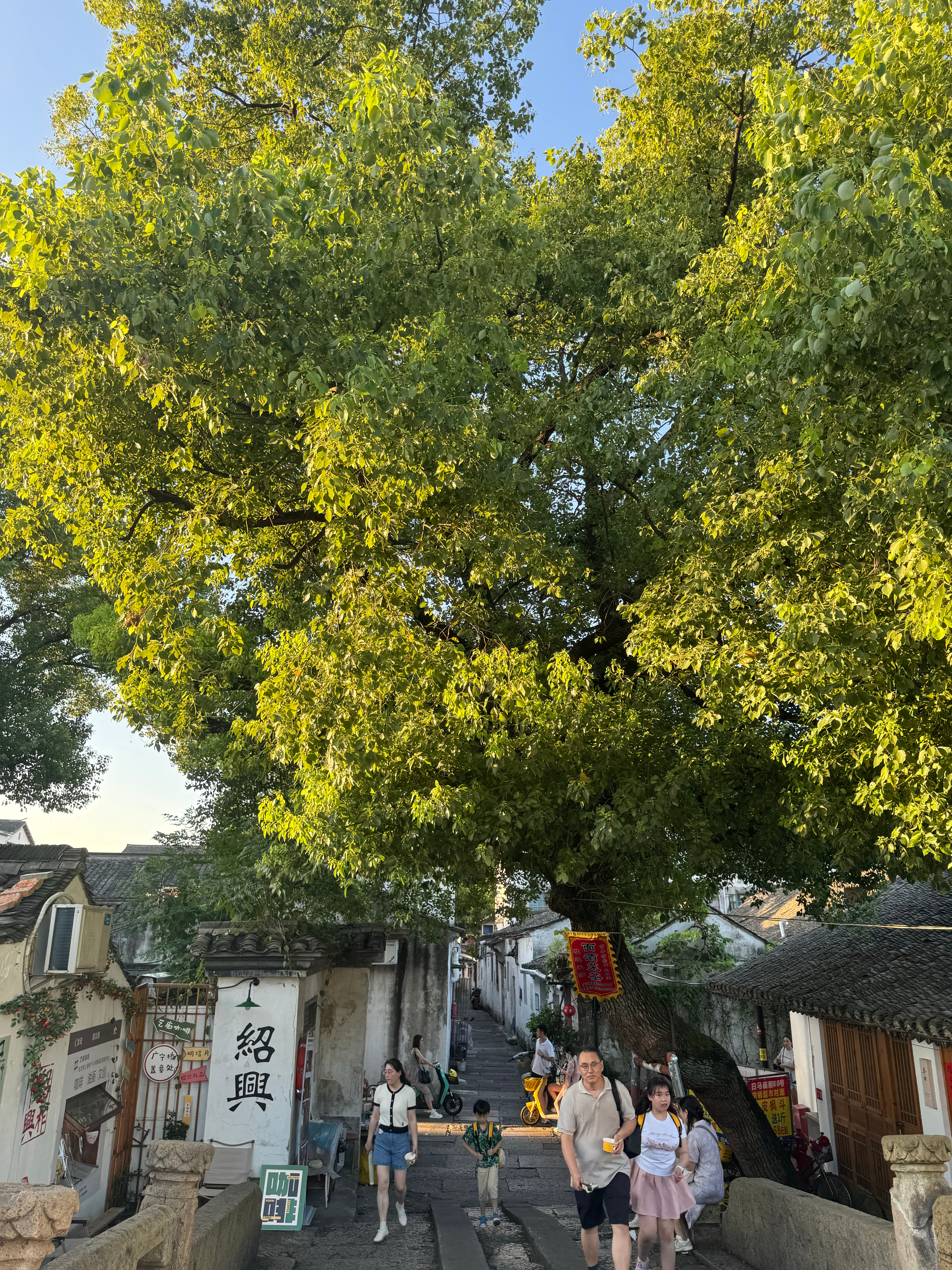 揭秘绍兴最新揪痧背后的奥秘