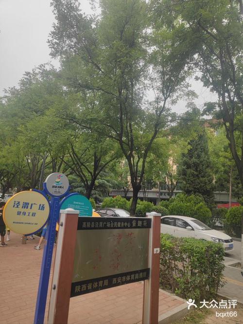 老头公园最新聚焦，时代变迁下的老年休闲空间革新