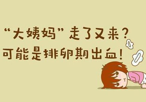 姨妈吧最新探索，自然美景之旅，寻找内心平和之地