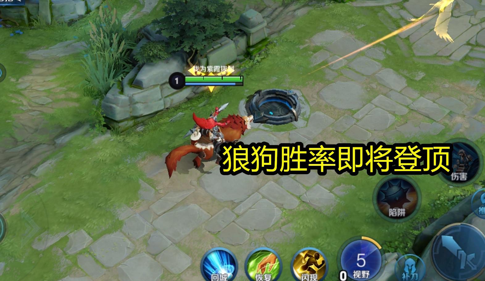 最新养猪工具，探索自然之旅，寻找内心平静与宁静的宁静之地