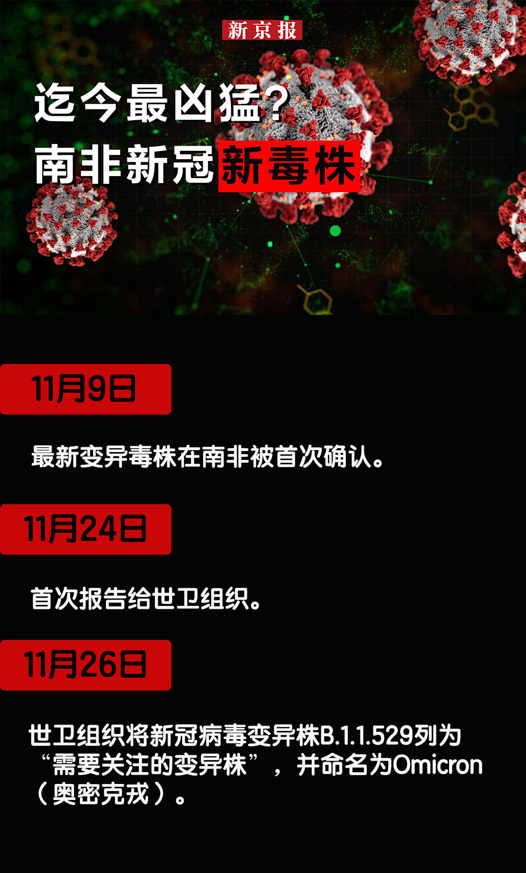 新型病毒最新论述，最新动态与解析