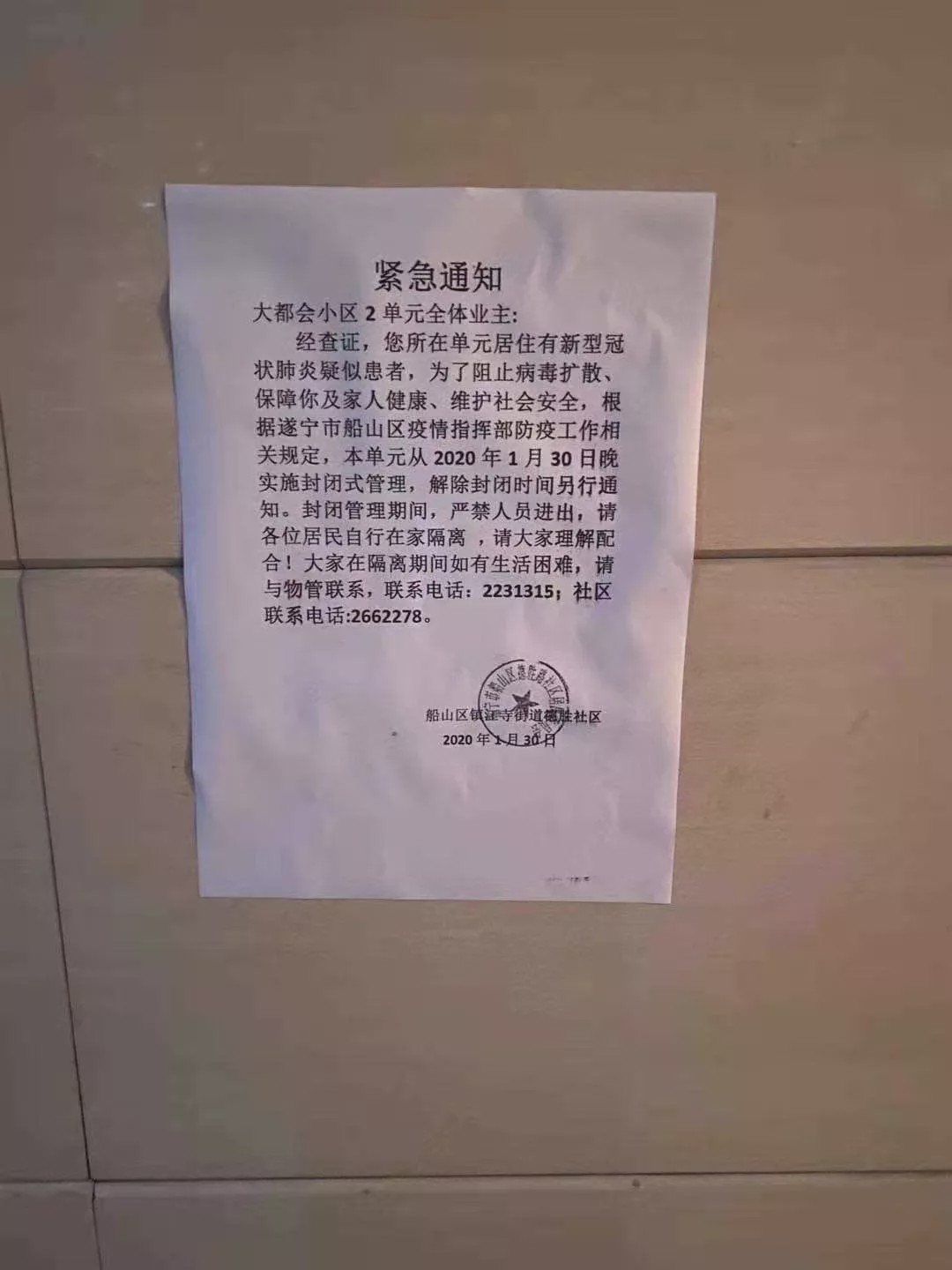 遂宁最新病例，变化的力量与学习的魅力展现