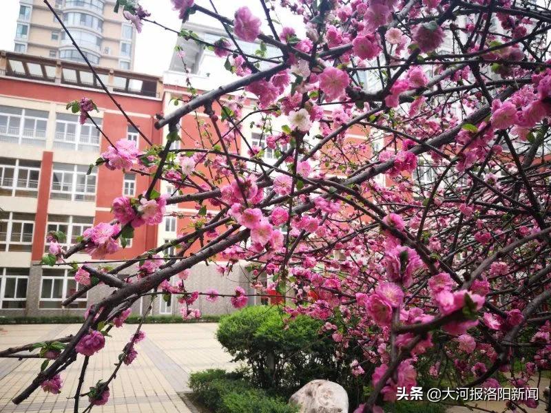 物联网设备研发 第4页