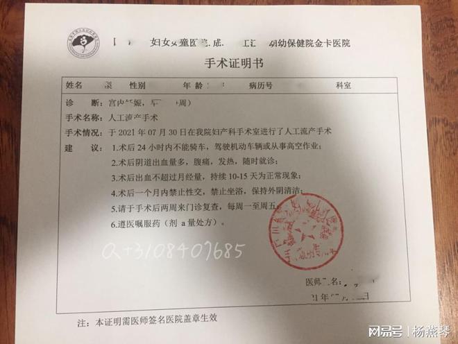 上海疫情最新解读，全面梳理现状与发展趋势