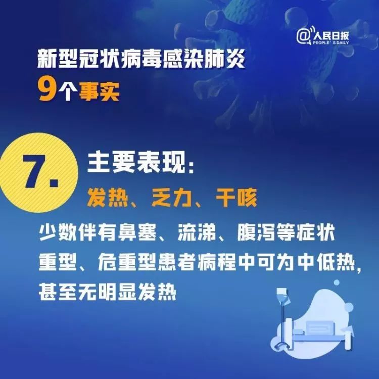 全球最新疫情动态，各地背景、重大事件与时代影响概览