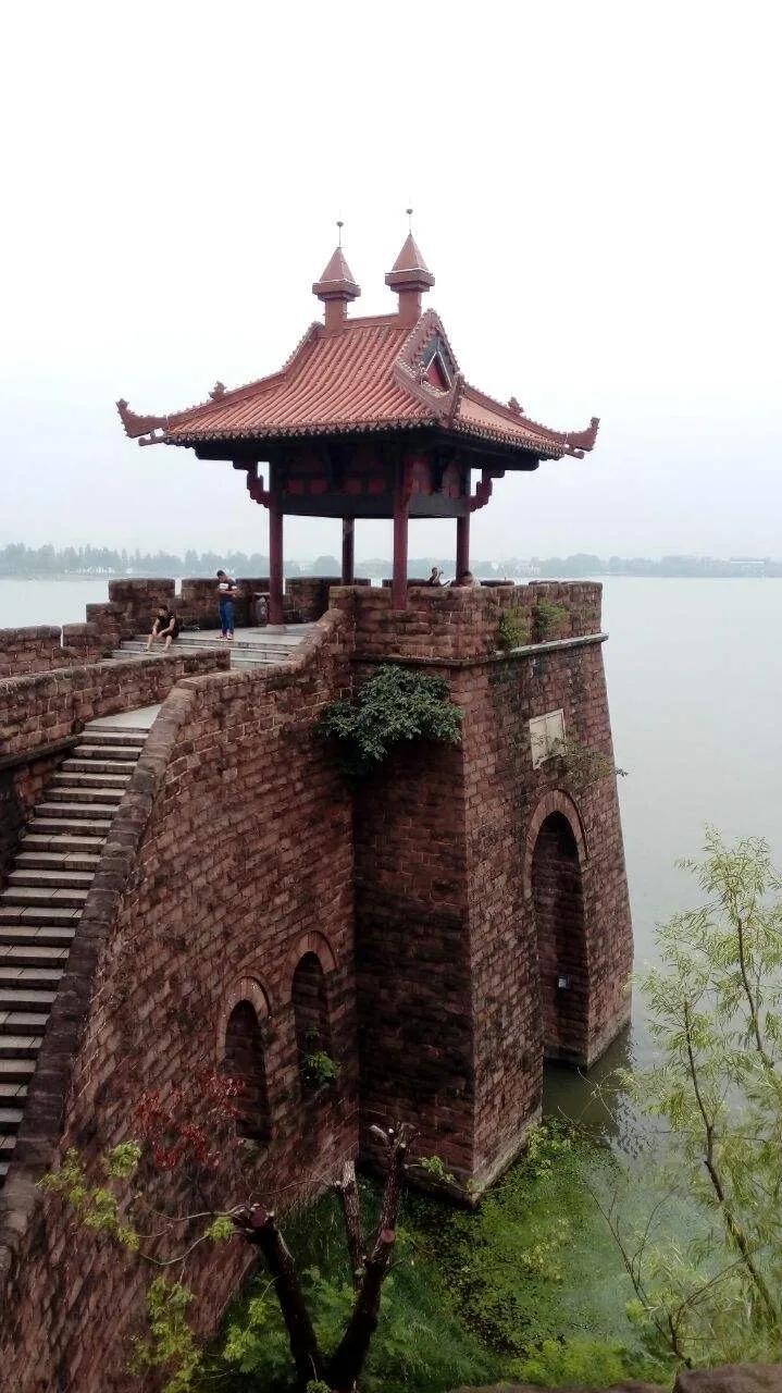武汉小巷中的隐藏瑰宝，最新照片探索之旅
