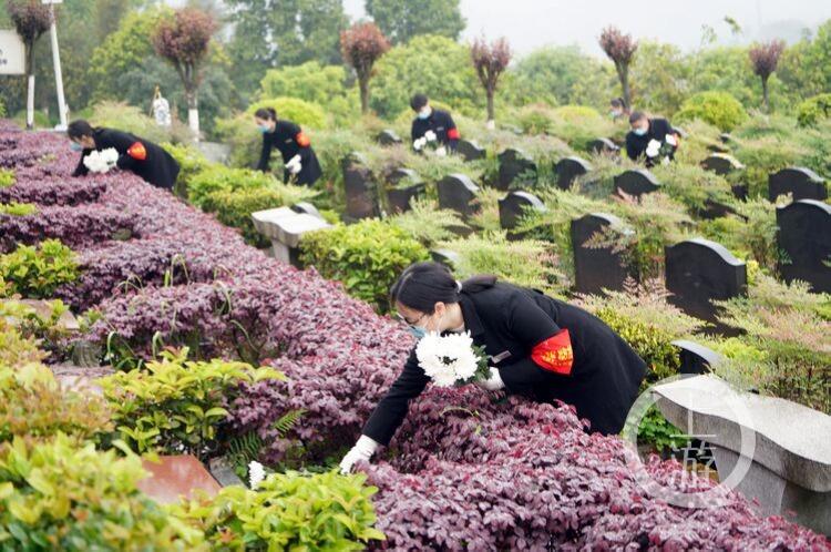 南岸最新疫情及科技产品介绍概述