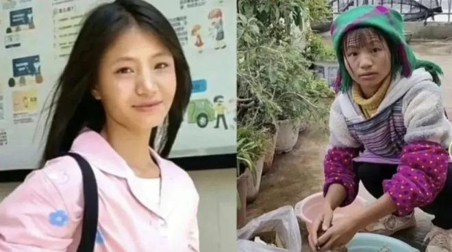 小英最新观察,科技、娱乐与社会发展的交汇点