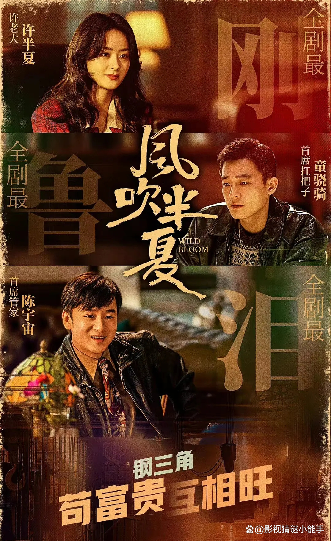 小巷深处的特色小店探秘，最新好评剧盘点