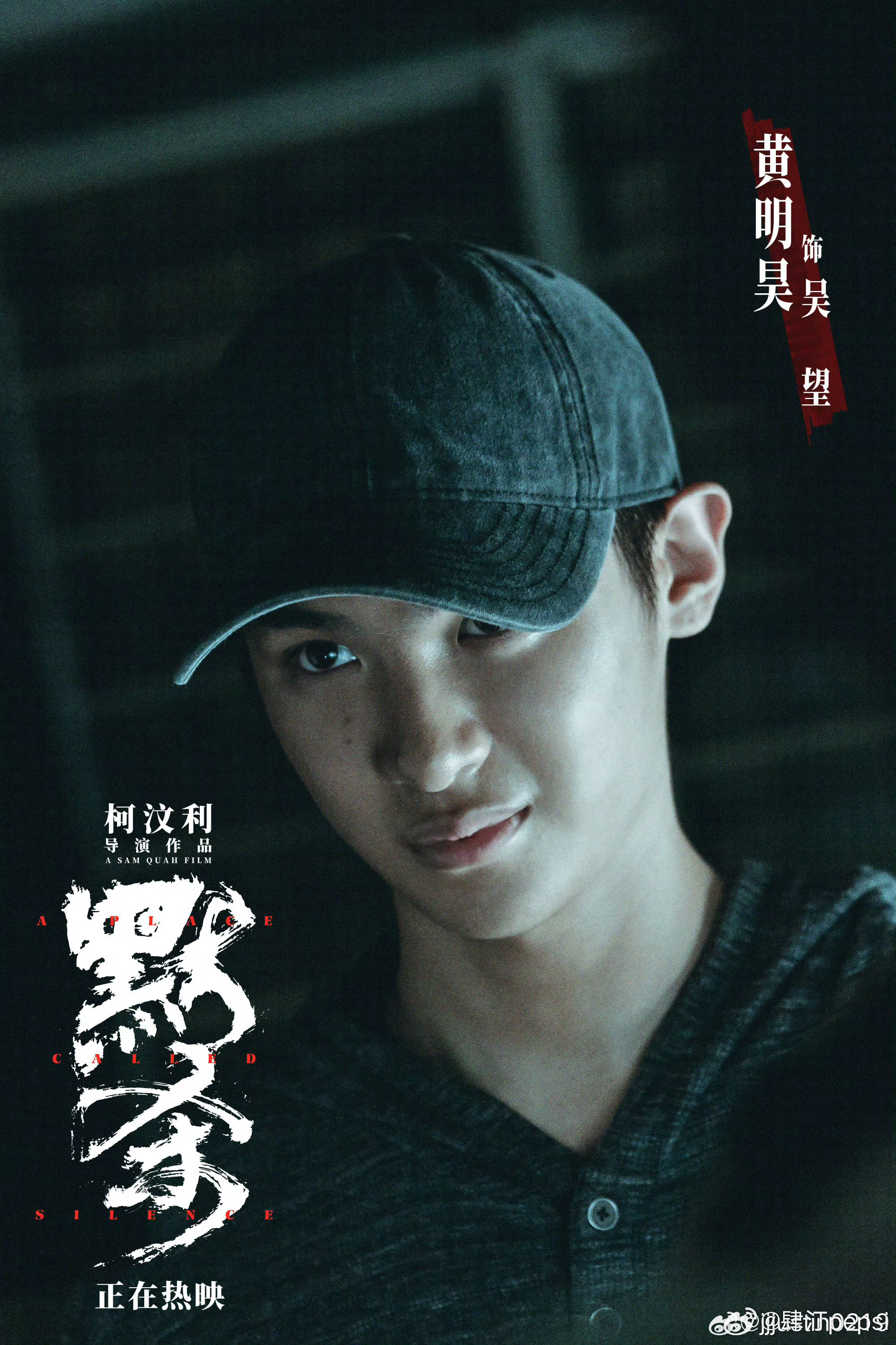 昊最新电影详解,步骤指南与观影指南