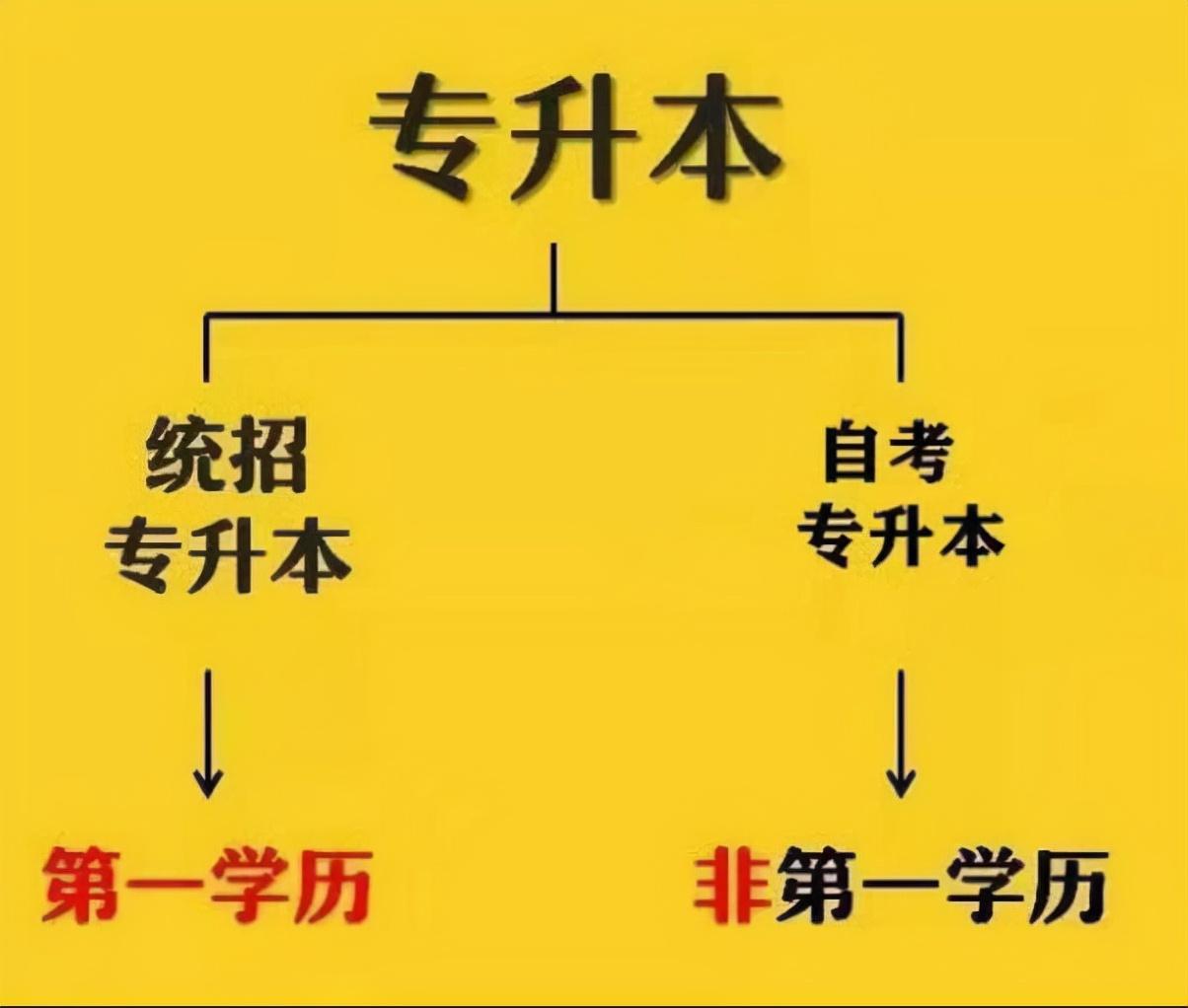 最新专升本答案,最新专升本答案，一场自然美景的探险之旅