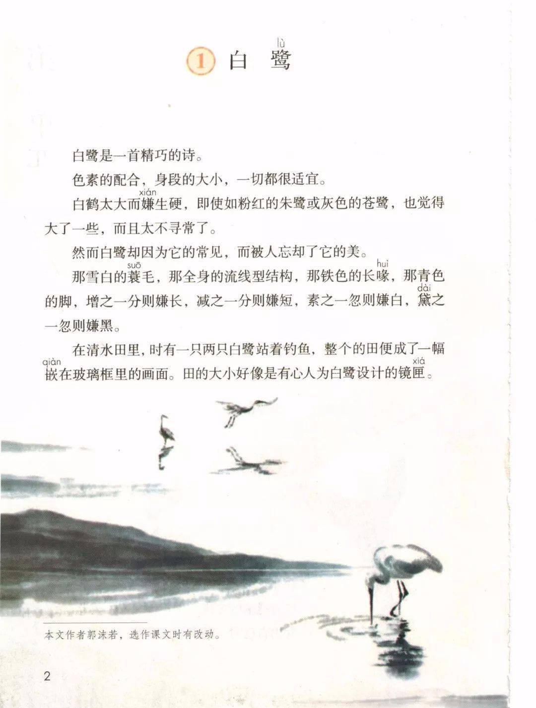 白鹭最新课程，友情、趣事与日常的温暖邂逅