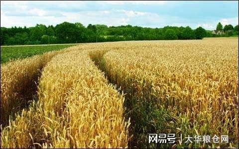 环境监测设备 第83页
