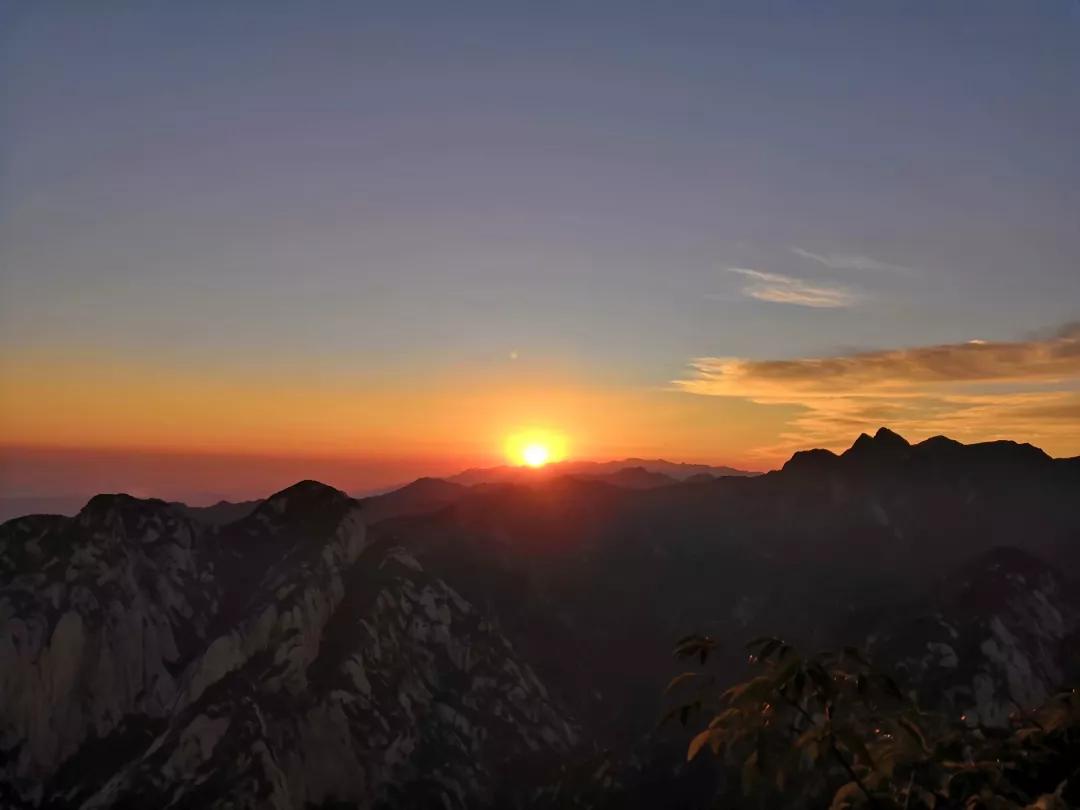 东方希望最新事件揭秘