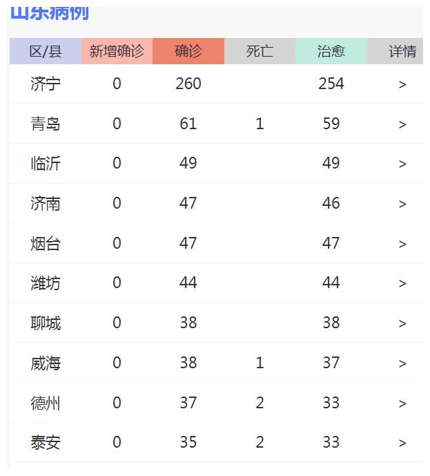 山东最新肺炎疫情全面解析与应对策略，最新动态与应对措施速递
