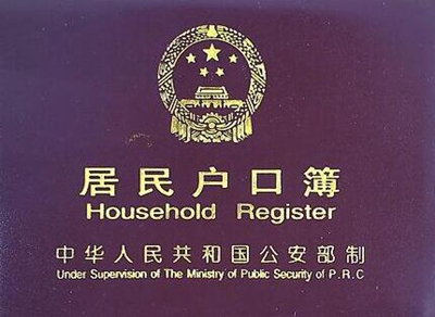 户籍最新动态与巷弄深处的独特风味探秘