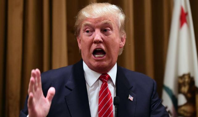 最新美国大选消息聚焦,关键要点分析